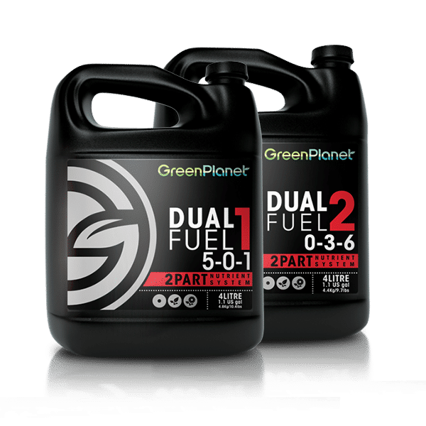 Dual Fuel 1