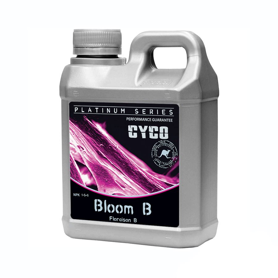Cyco Bloom B
