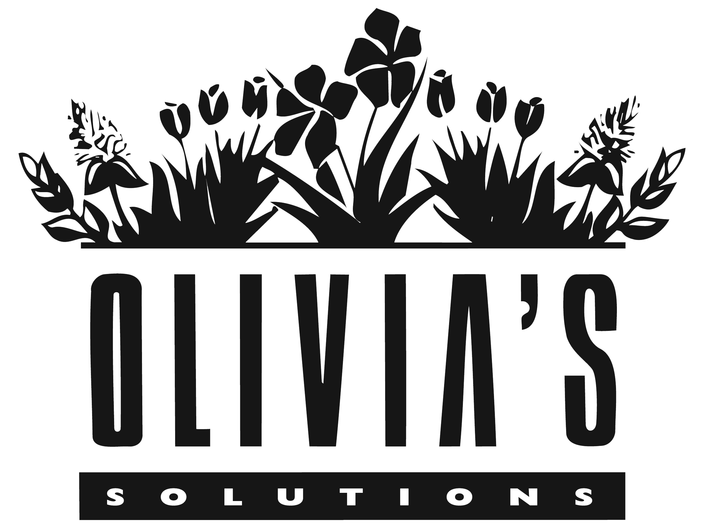 Olivia's Solutions