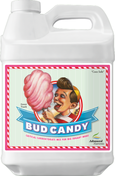 Bud Candy (E)