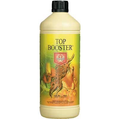 Top Booster
